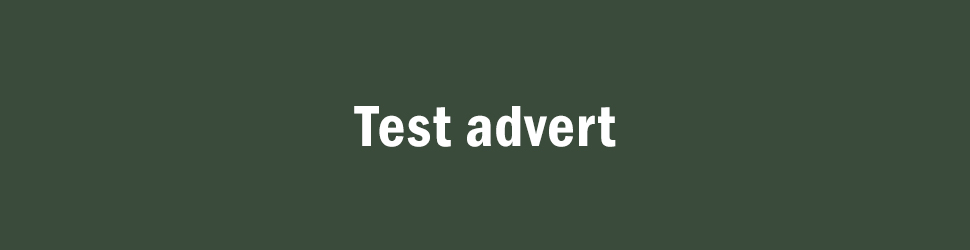 Client Name – Test Advert (970x250px)